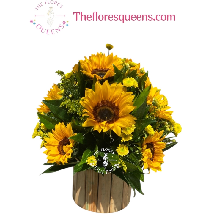 ARR PREMIUM 6 - FLORISTERIAS EN CALI