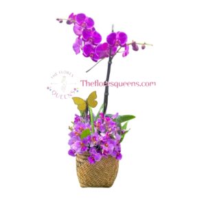 ORQUIDEA 5 - FLORISTERIAS EN CALI