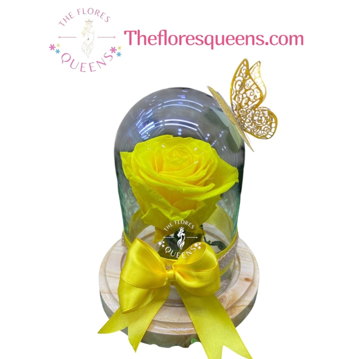 ROSA PRESERVADA 3 - FLORISTERIAS EN CALI